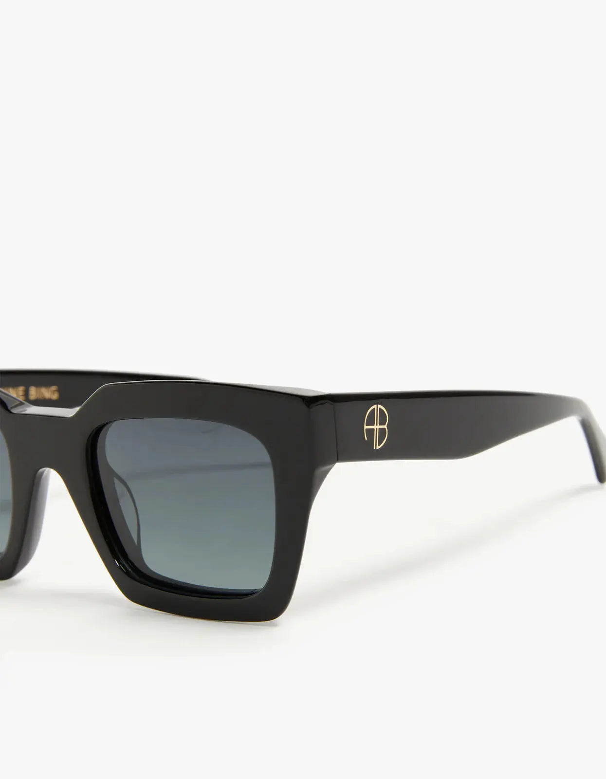 Indio Sunglasses in Black Anine Bing