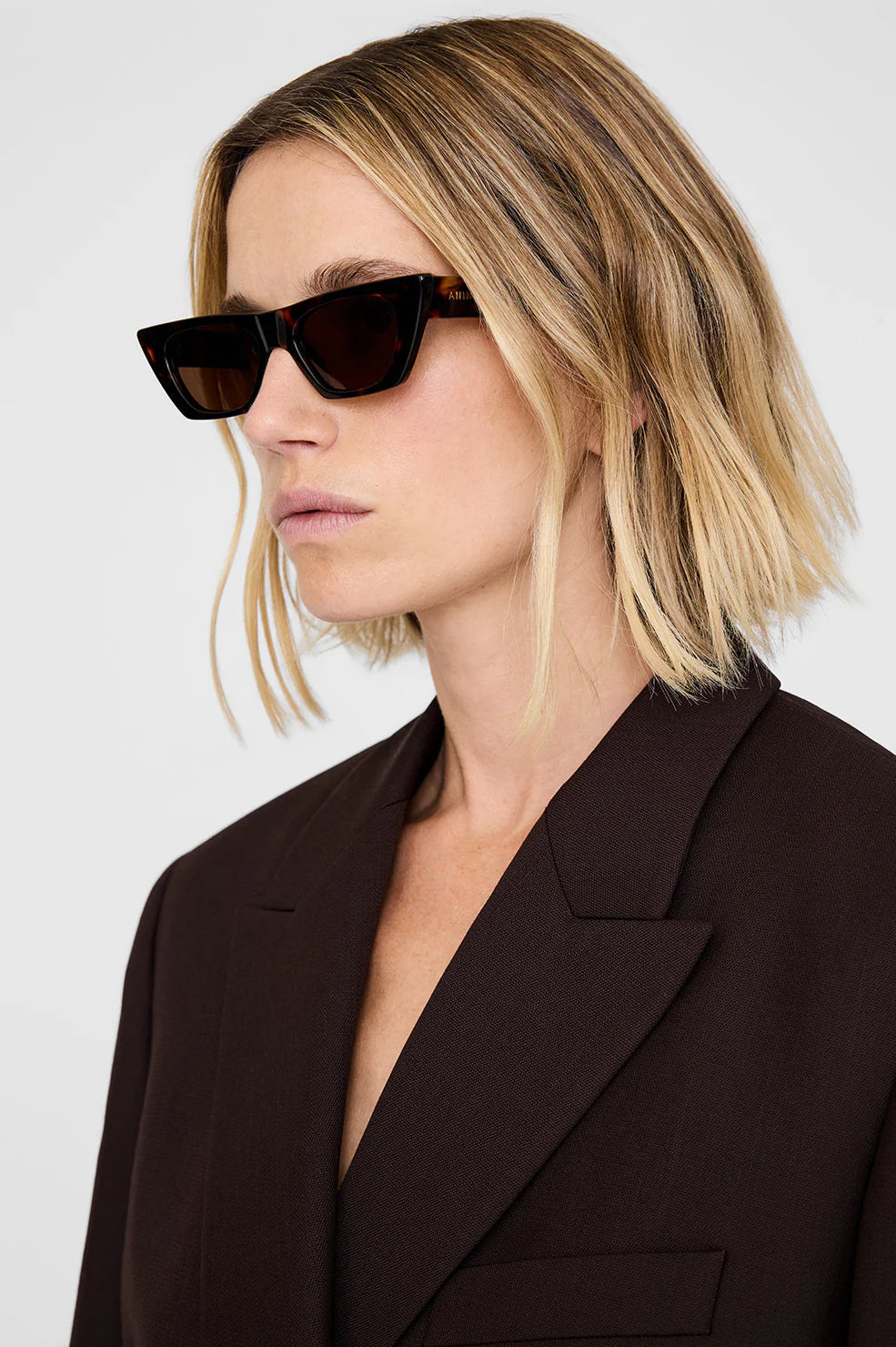 Pierre Sunglasses in Dark Tortoise Anine Bing