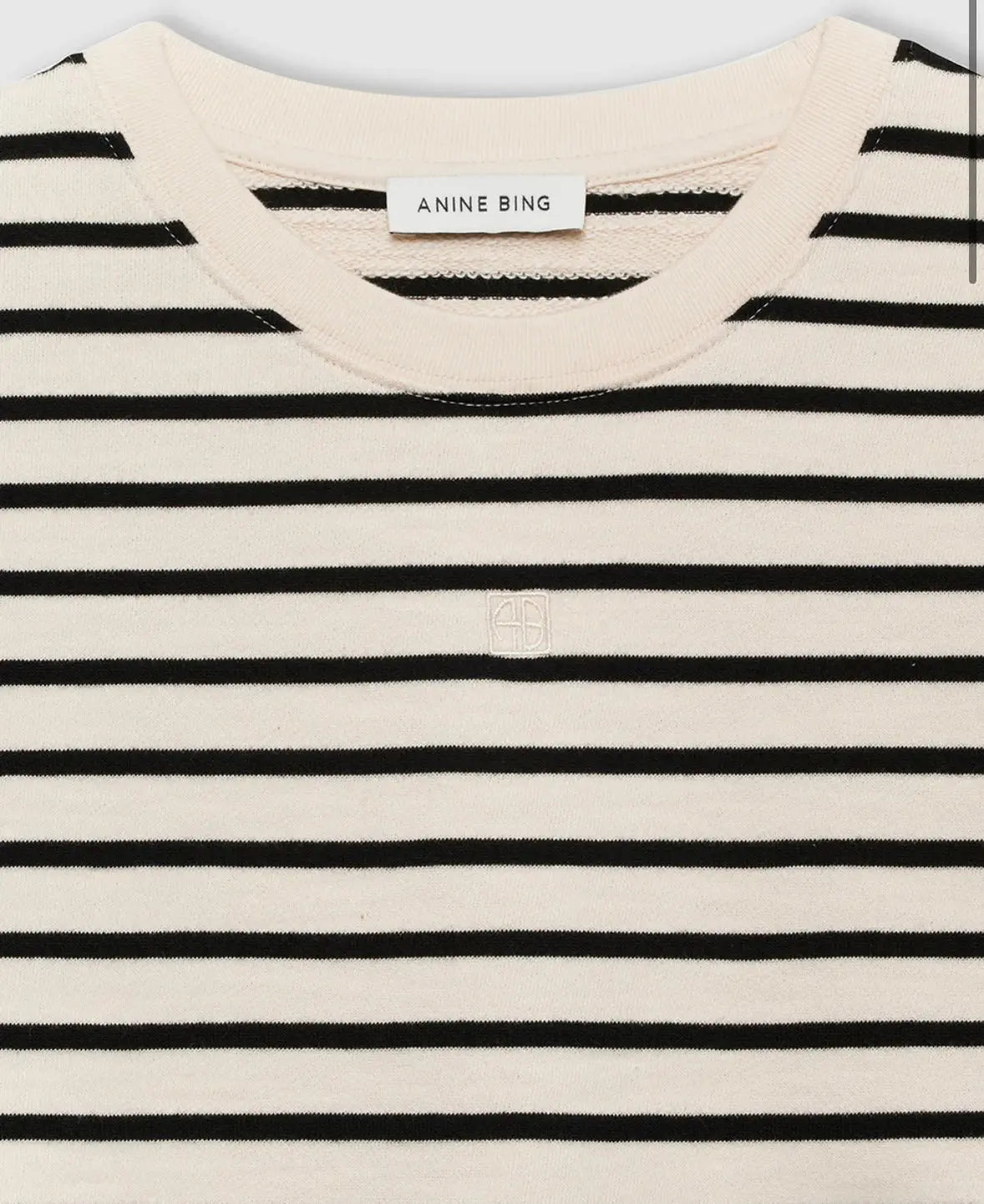 Myers Cropped Tee in Striped French Terry Anine Bing