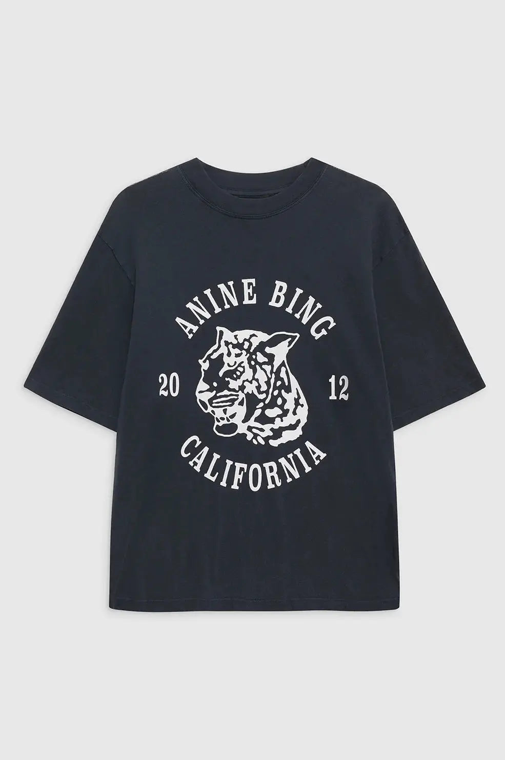 Avi Tee Collegiate Anine Bing