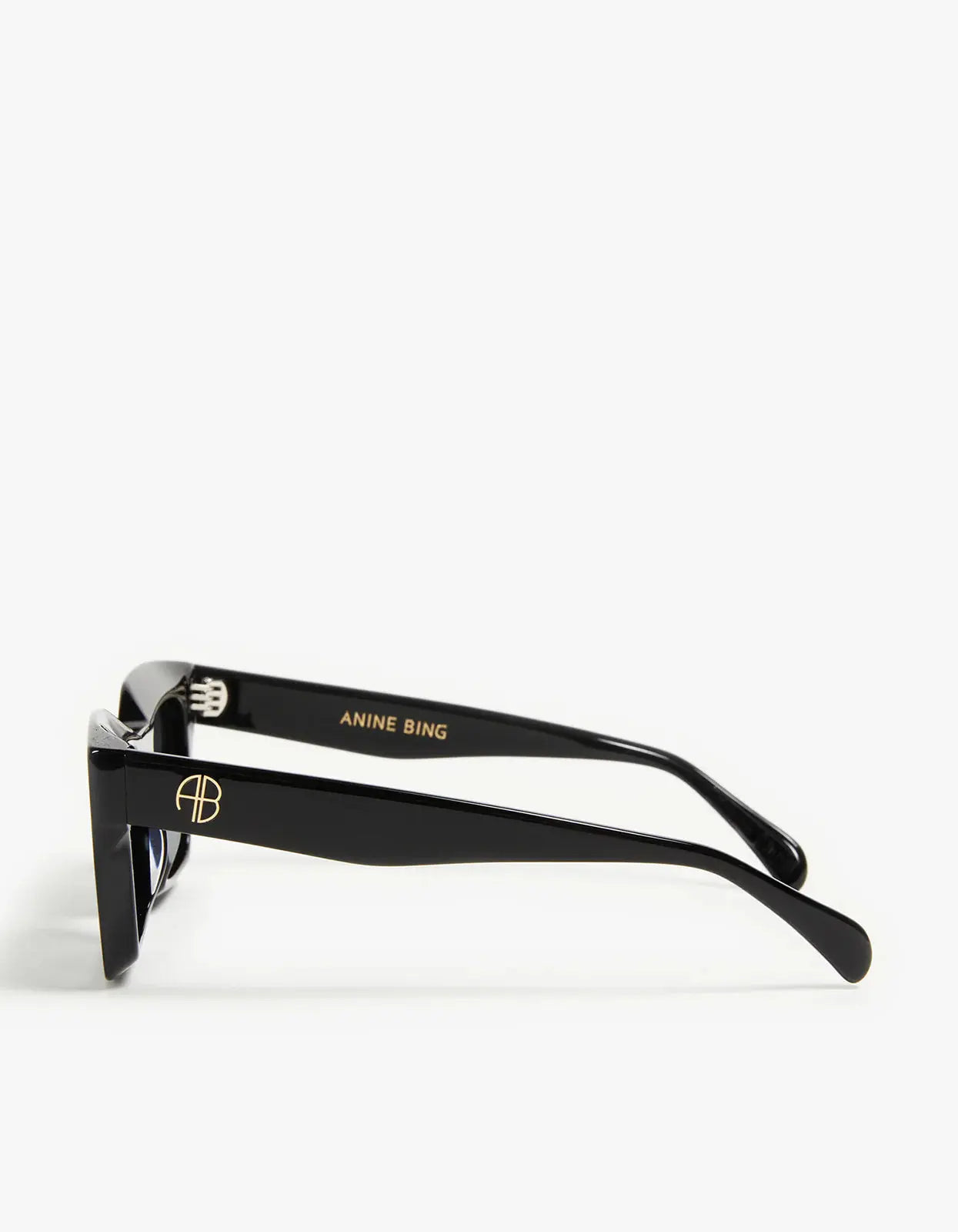 Indio Sunglasses in Black Anine Bing