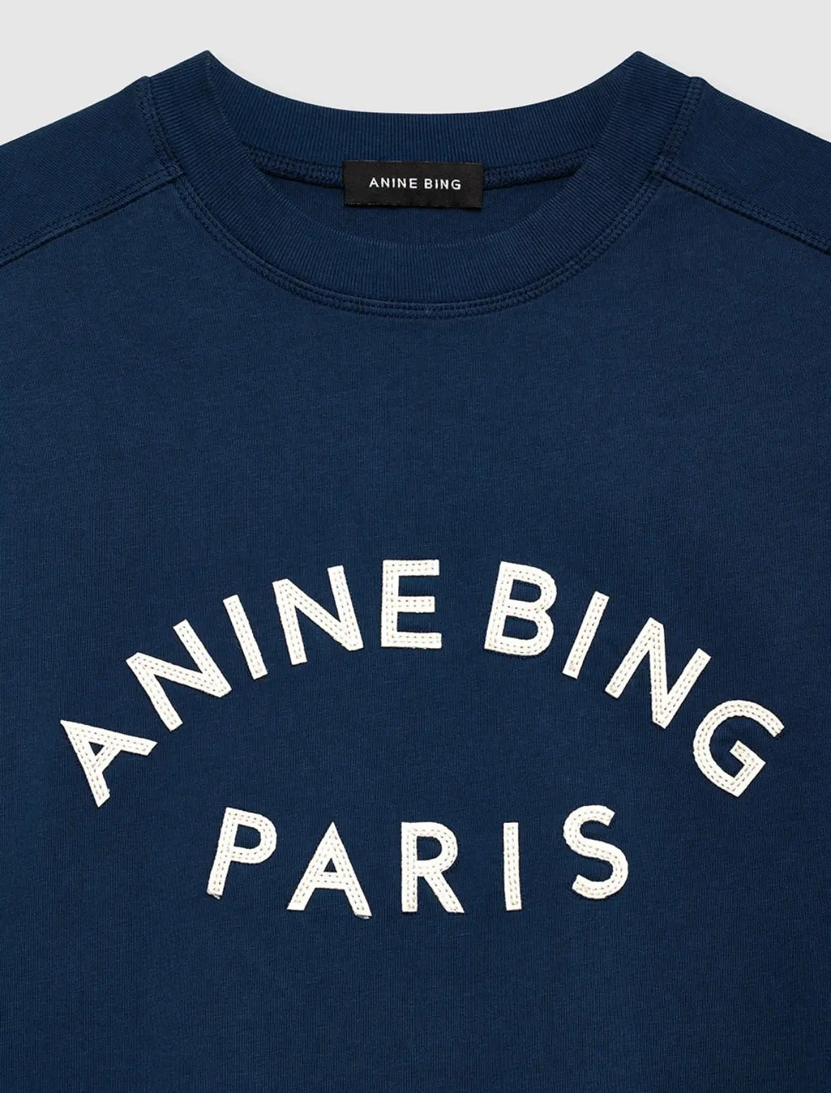 Jaylin Tee Paris in Washed Navy Anine Bing
