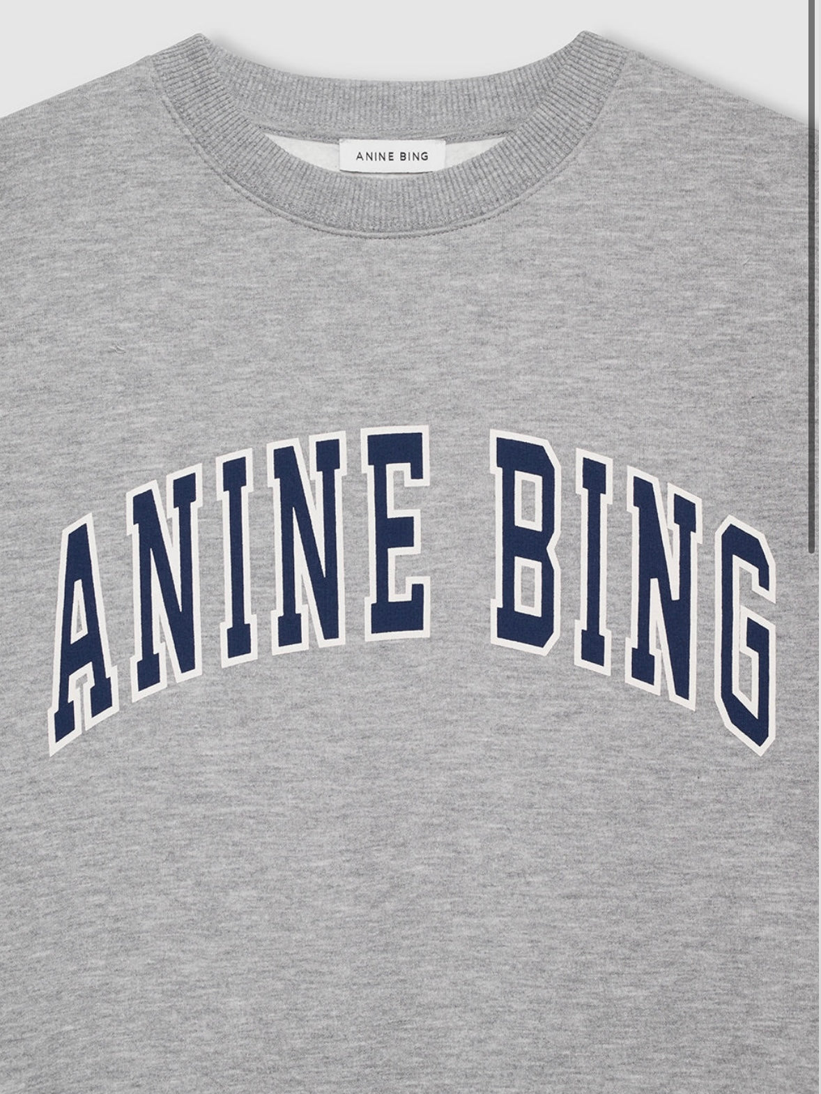 Spencer Sweatshirt in Heather Grey Anine Bing