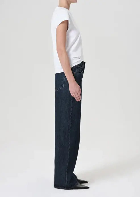 Low Curve Jean in Pendulum AGOLDE
