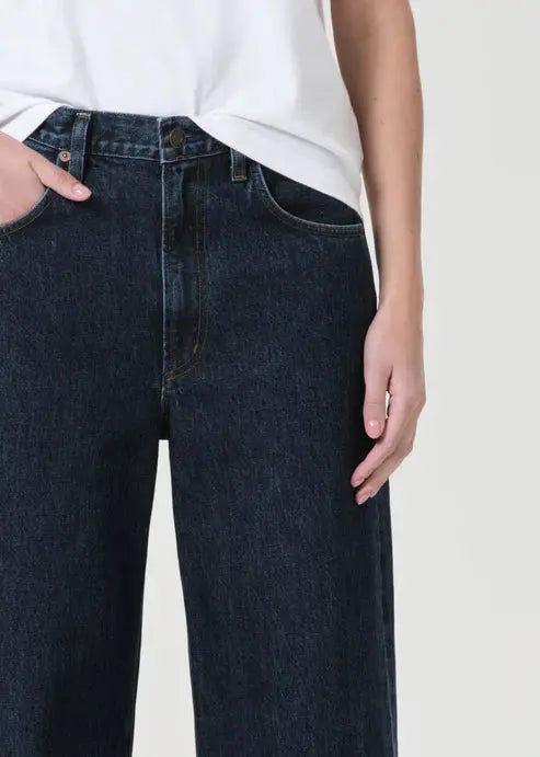 Low Curve Jean in Pendulum AGOLDE