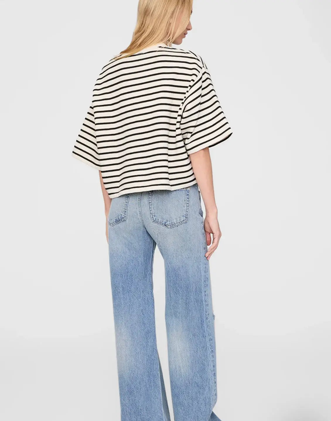 Myers Cropped Tee in Striped French Terry Anine Bing