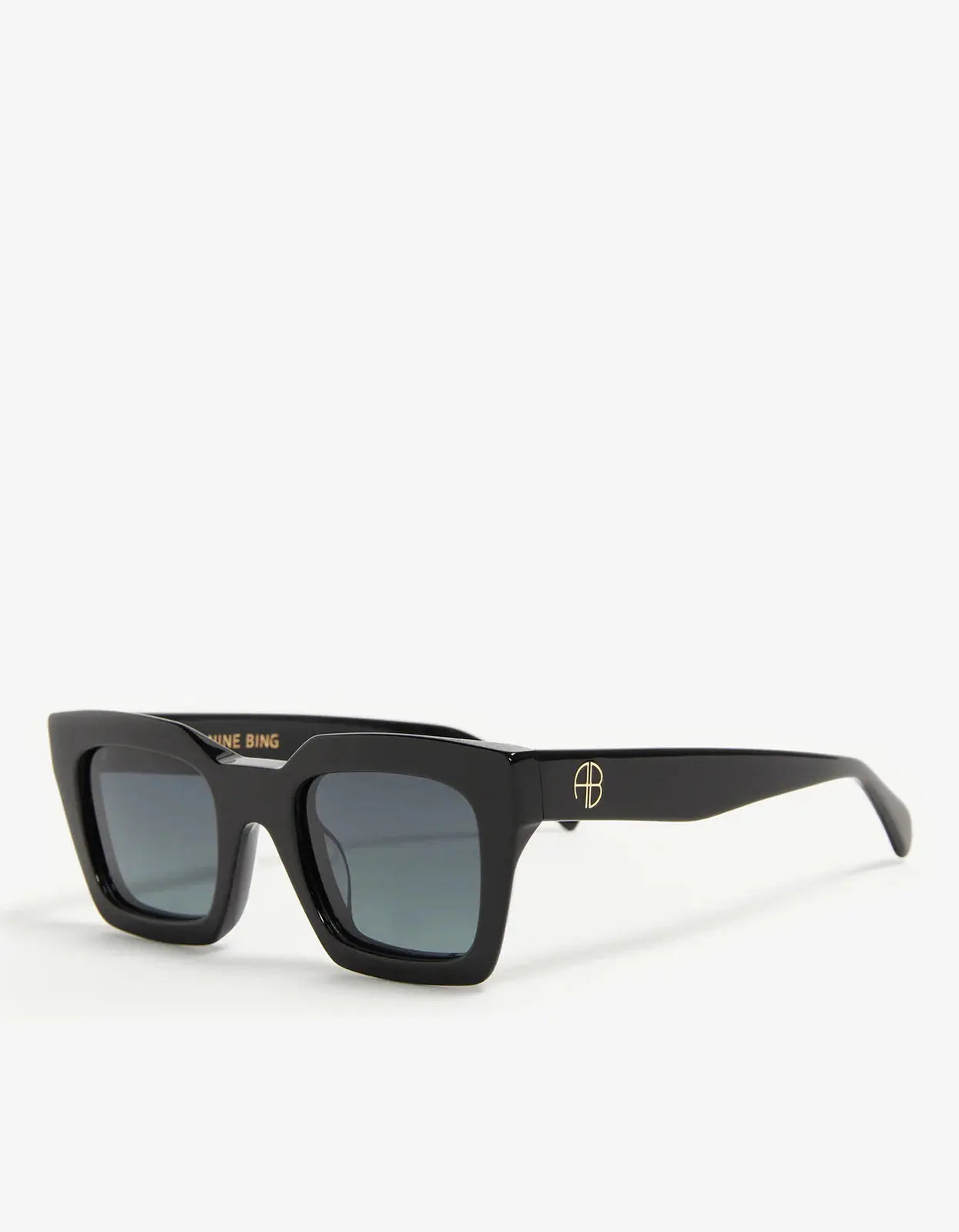 Indio Sunglasses in Black Anine Bing