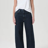 Low Curve Jean in Pendulum AGOLDE