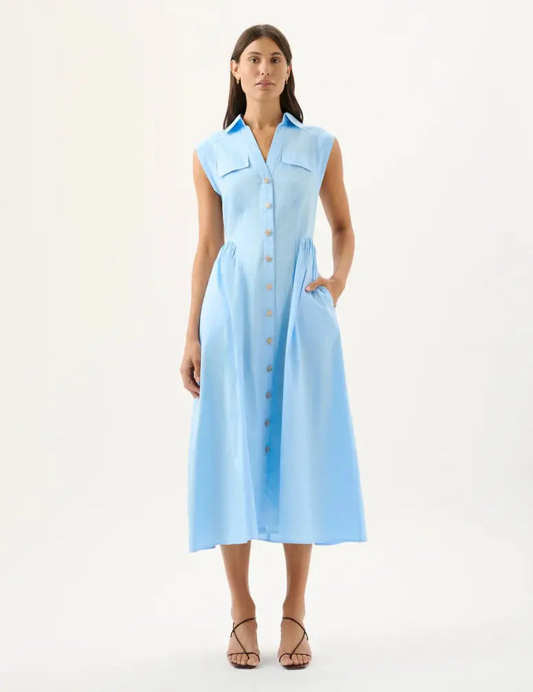 Skylar Dress in Blue Roame