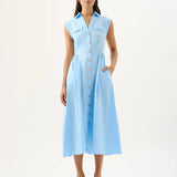 Skylar Dress in Blue Roame