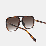 Rodeo in Tortoise