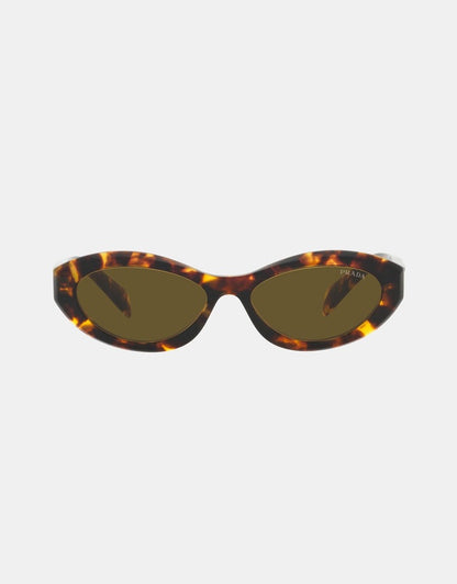 retro shaped acetate sunglasses in tortoise clothlifestyleboutique