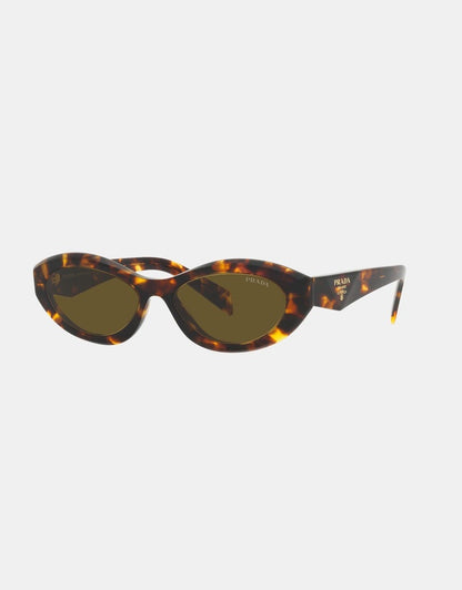 Prada Acetate Sunglasses in Tortoise