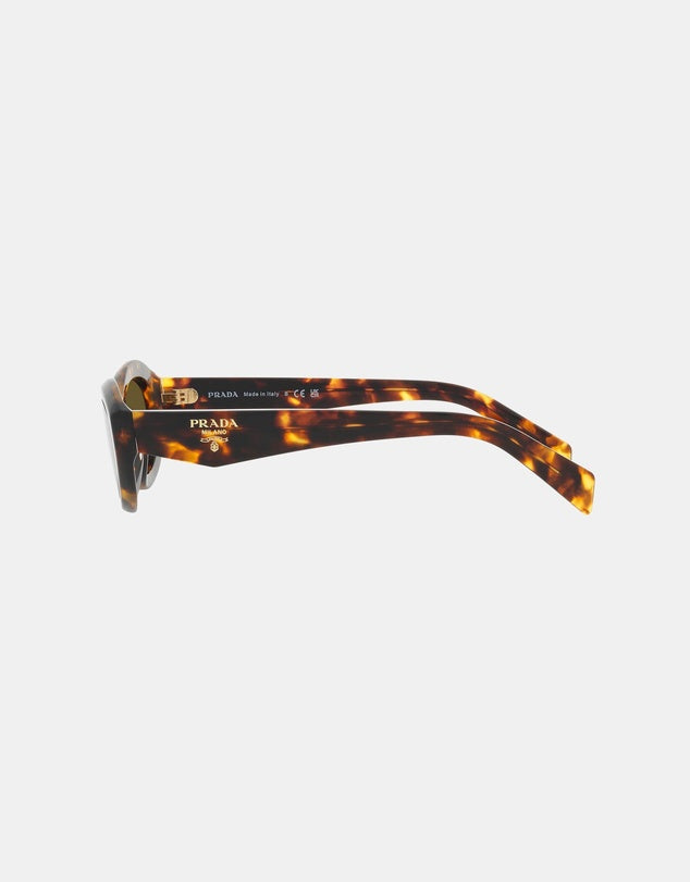 Prada Acetate Sunglasses in Tortoise