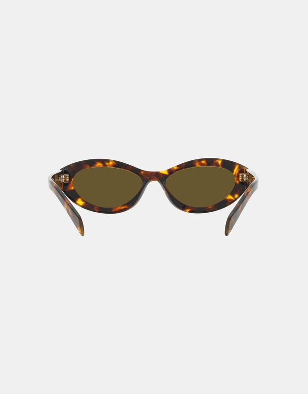 Prada Acetate Sunglasses in Tortoise