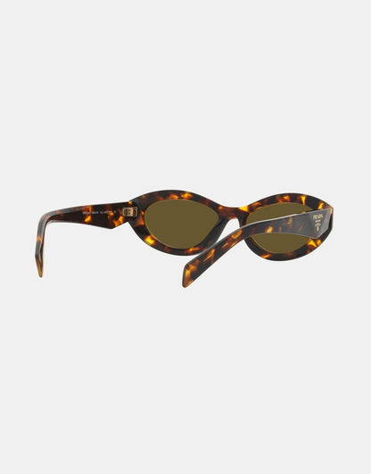 Prada Acetate Sunglasses in Tortoise