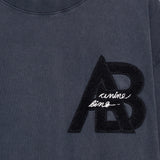 Beth Mini Dress in Washed Black