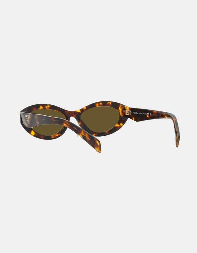 Prada Acetate Sunglasses in Tortoise