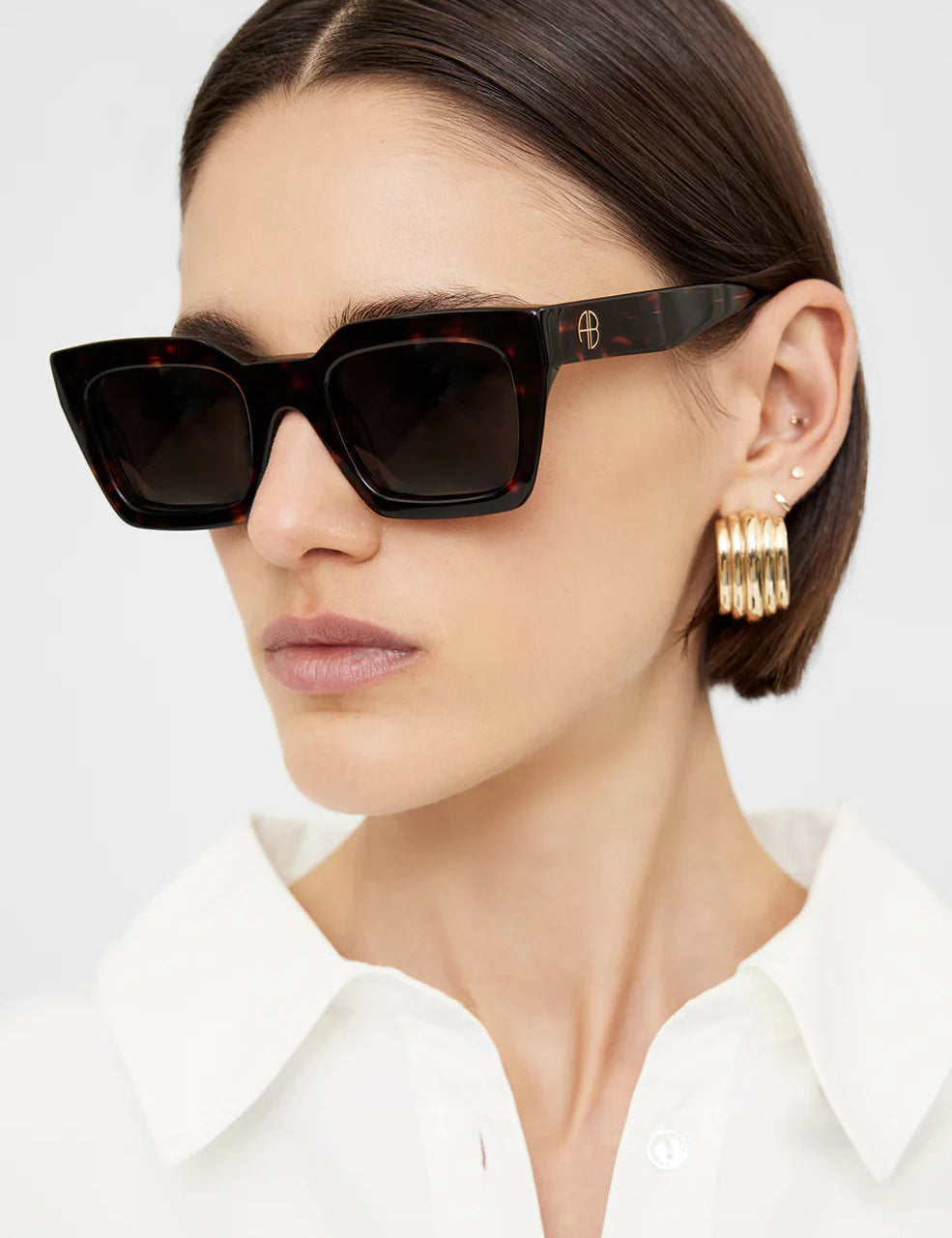 Indio Sunglasses Tortoise Anine Bing