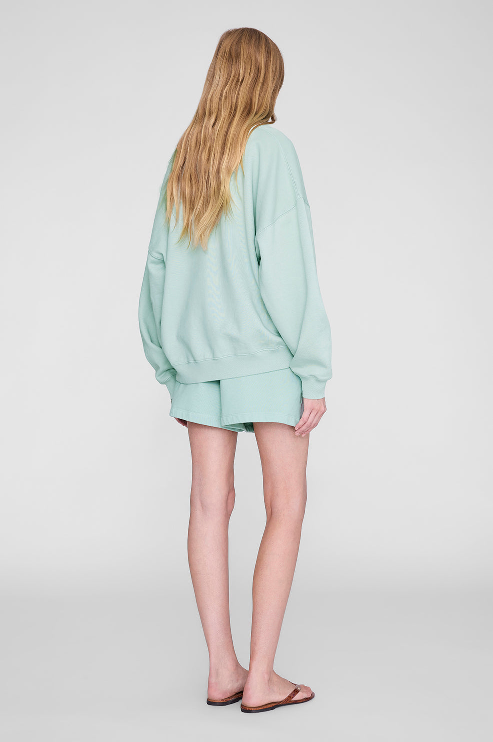 Miles Sweatshirt in Seafoam ANINE BING