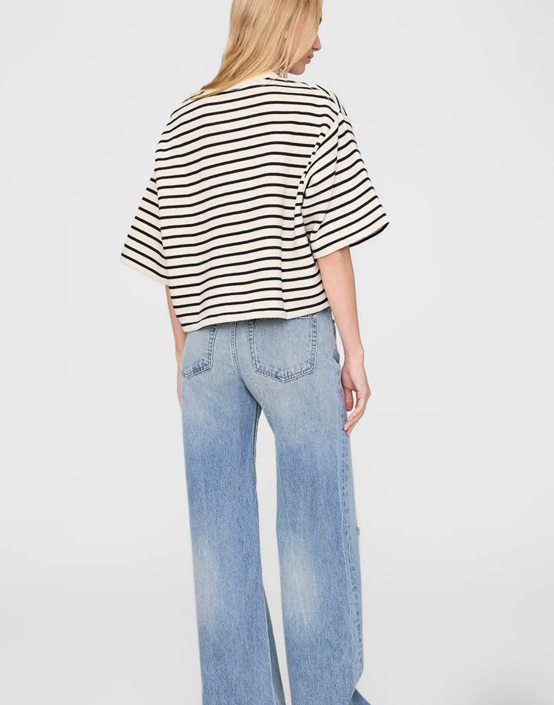 Myers Cropped Tee in Striped French Terry Anine Bing