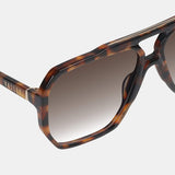Rodeo in Tortoise