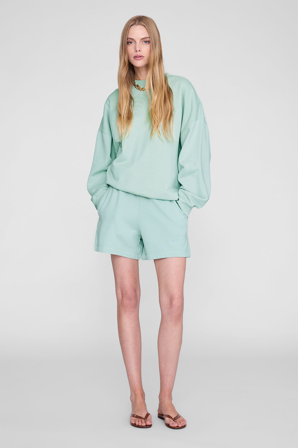 Miles Sweatshirt in Seafoam ANINE BING