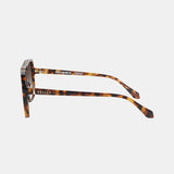 Rodeo in Tortoise