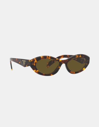 Prada Acetate Sunglasses in Tortoise