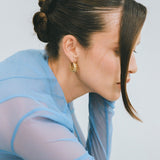 Turtle Hoops in Gold